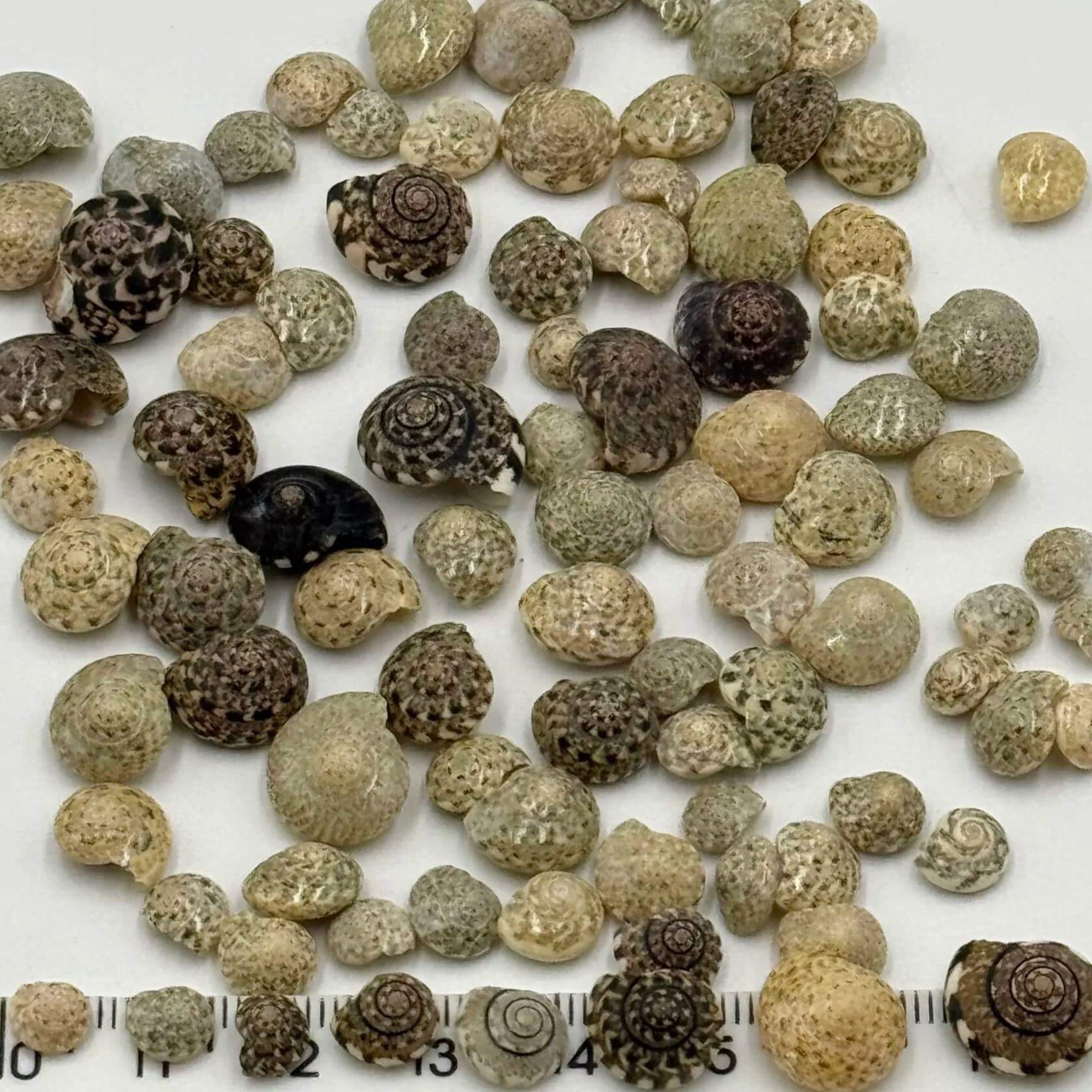 https://tvoryznamy.com/media/media/product/1758706233.6207488.image.jpeg